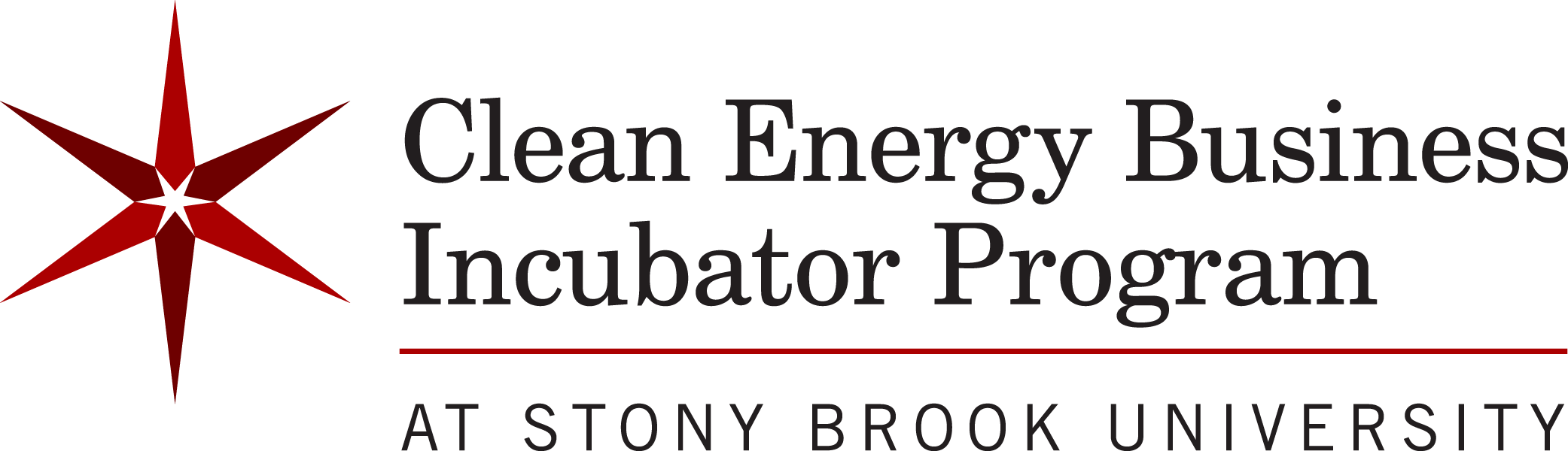 CEBIP - Clean Energy Business Incubator Program